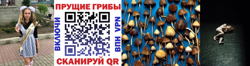 Галлюциногенные грибы мицелий  Стрежевой 
